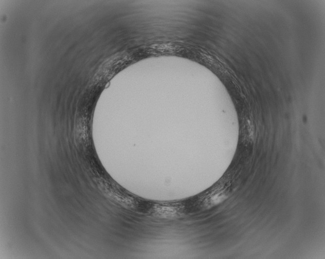 X0000068270706200605191828