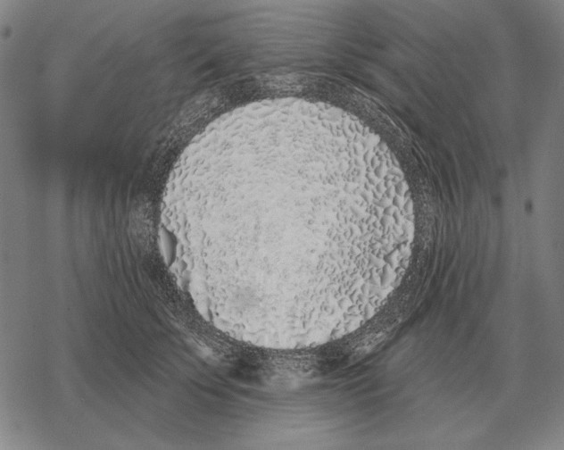 X0000068270707200605191828