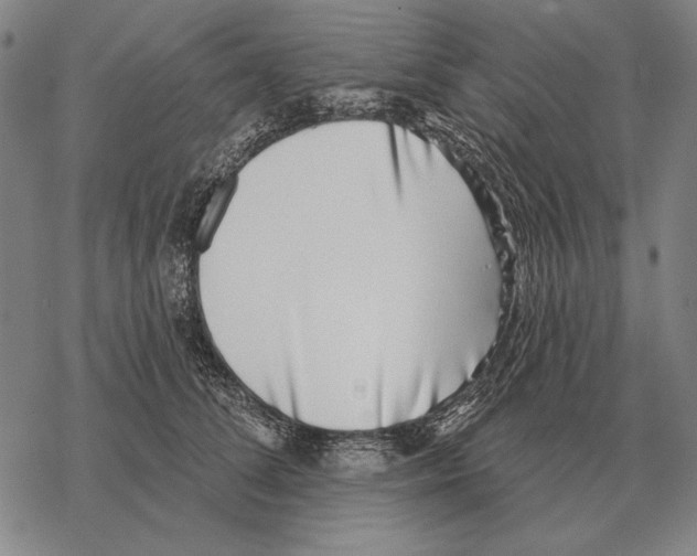 X0000068270708200605191828