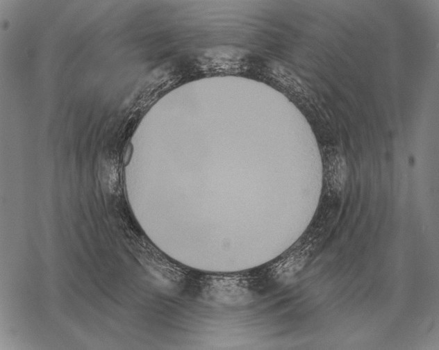 X0000068270709200605191828