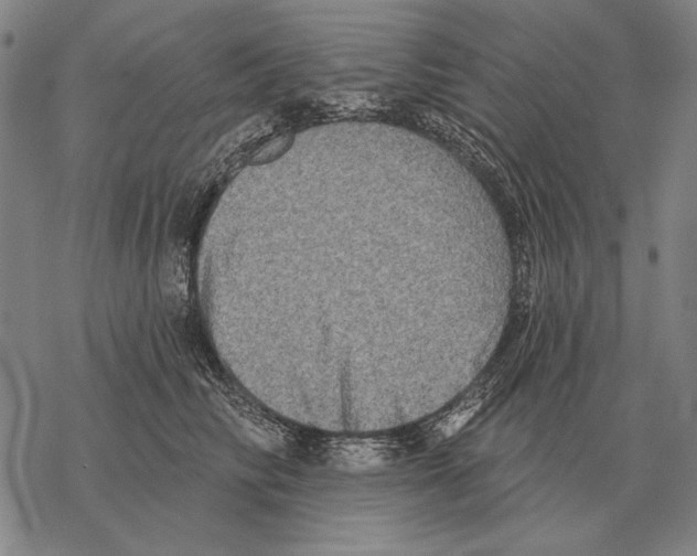 X0000068270710200605191828