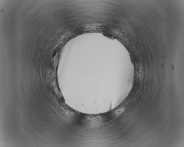 X0000068270712200605191828