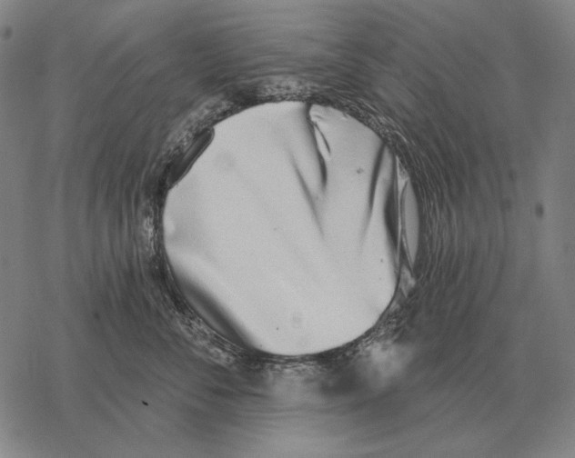 X0000068270716200605191828