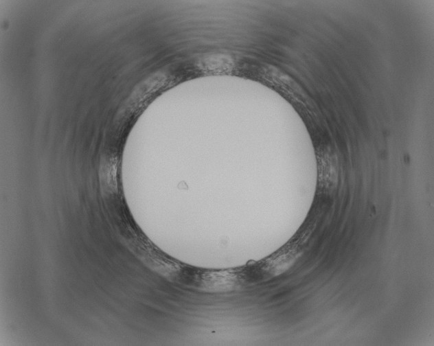 X0000068270717200605191828