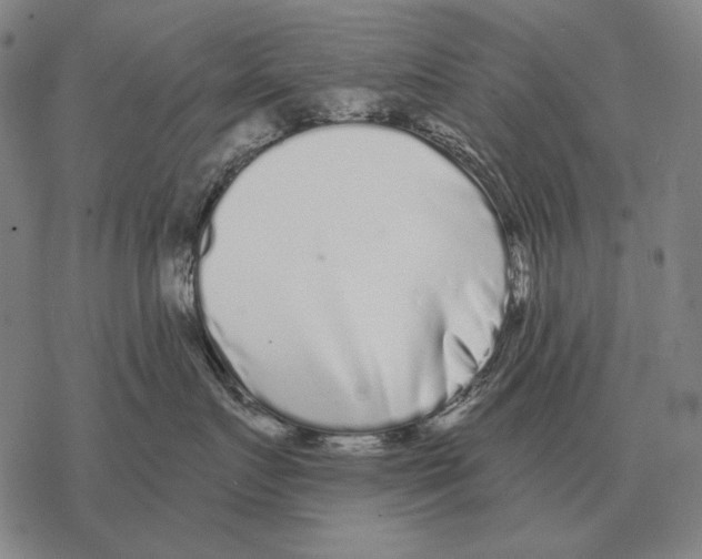 X0000068270719200605191828