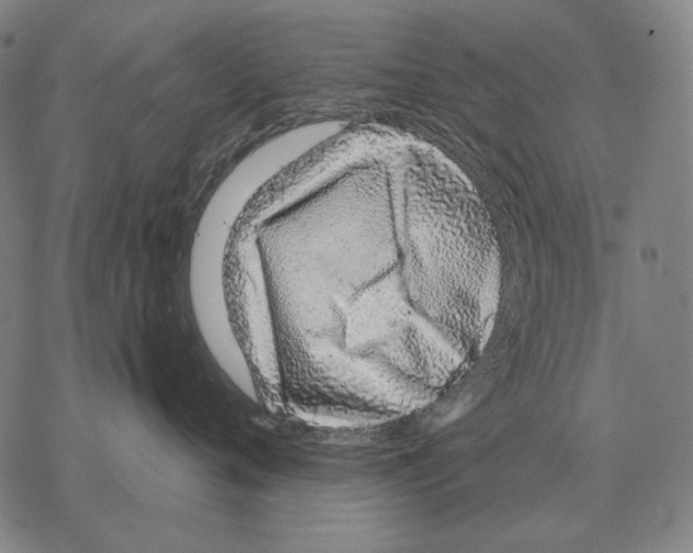 X0000068270720200605191828