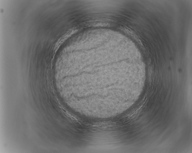 X0000068270721200605191827