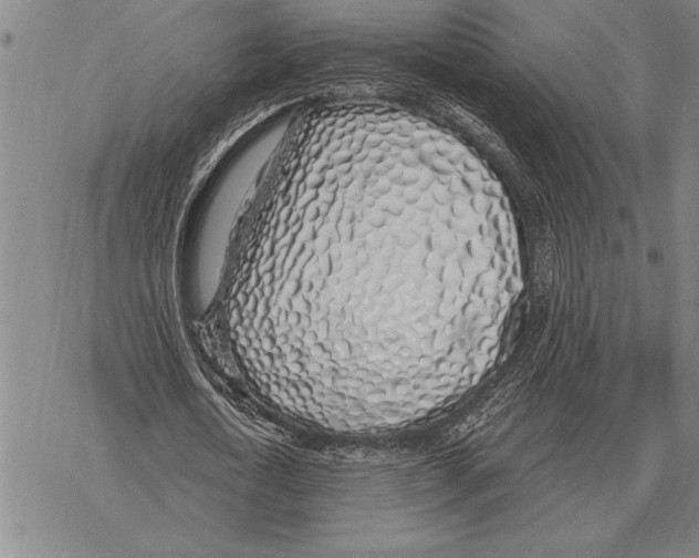 X0000068270722200605191827