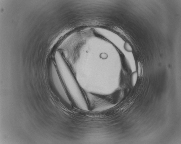 X0000068270723200605191827