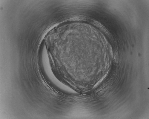 X0000068270724200605191827