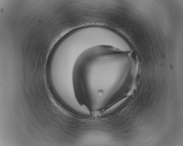 X0000068270726200605191827