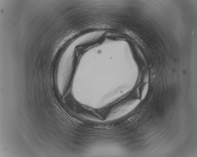 X0000068270727200605191827