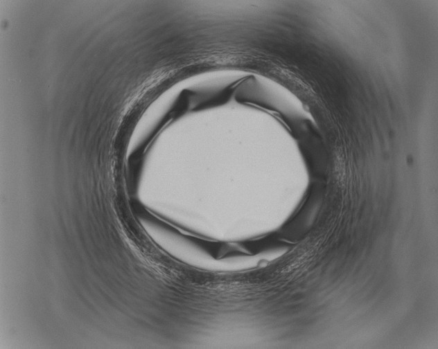 X0000068270730200605191827