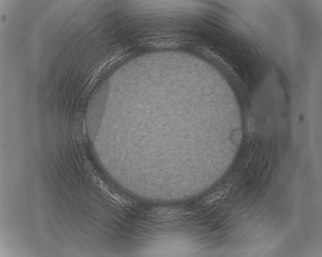 X0000068270733200605191827