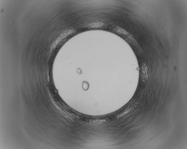 X0000068270734200605191827