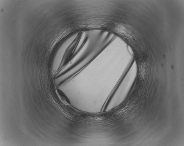 X0000068270735200605191827