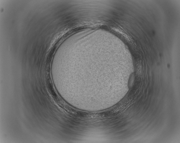 X0000068270736200605191827