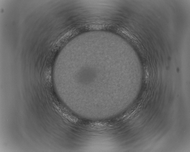 X0000068270737200605191827