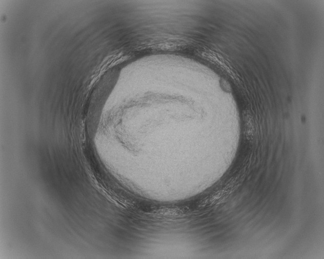 X0000068270738200605191827