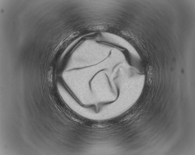 X0000068270739200605191827