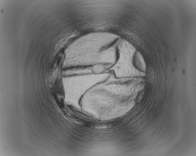 X0000068270740200605191827