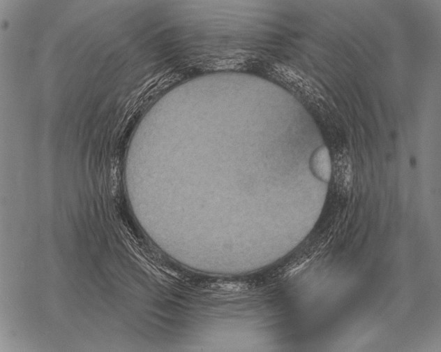 X0000068270741200605191827