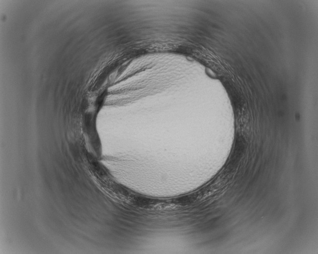 X0000068270742200605191827