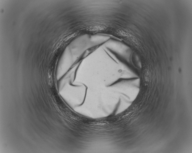 X0000068270743200605191827