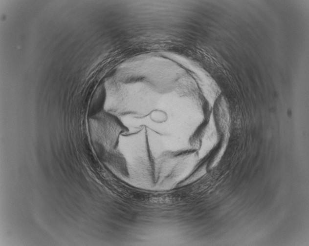 X0000068270744200605191827