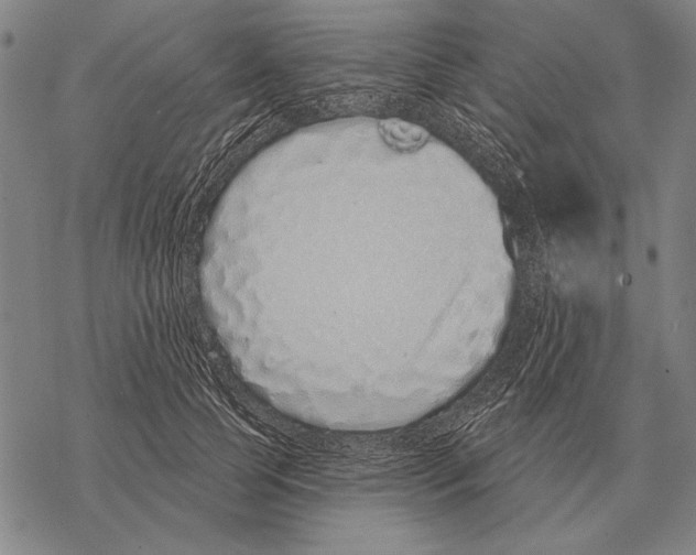 X0000068270745200605191827