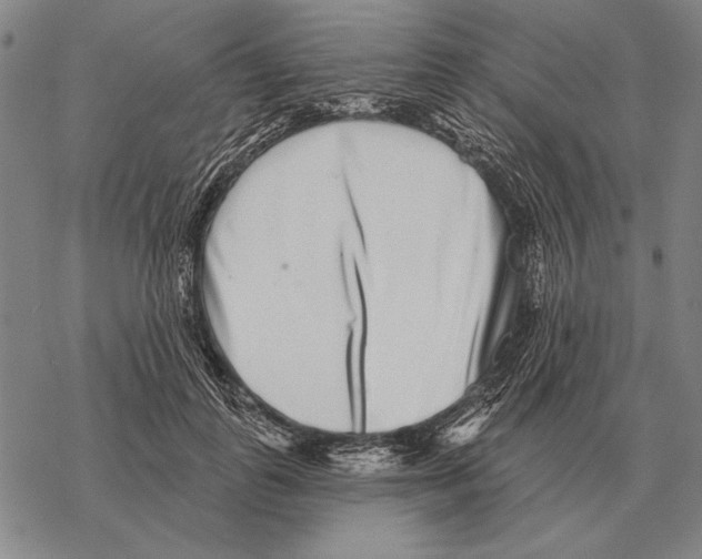 X0000068270747200605191827