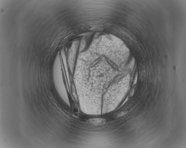 X0000068270748200605191827