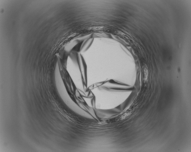 X0000068270750200605191827