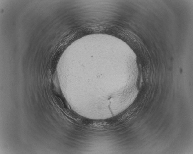 X0000068270752200605191827