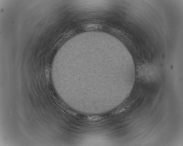 X0000068270753200605191827