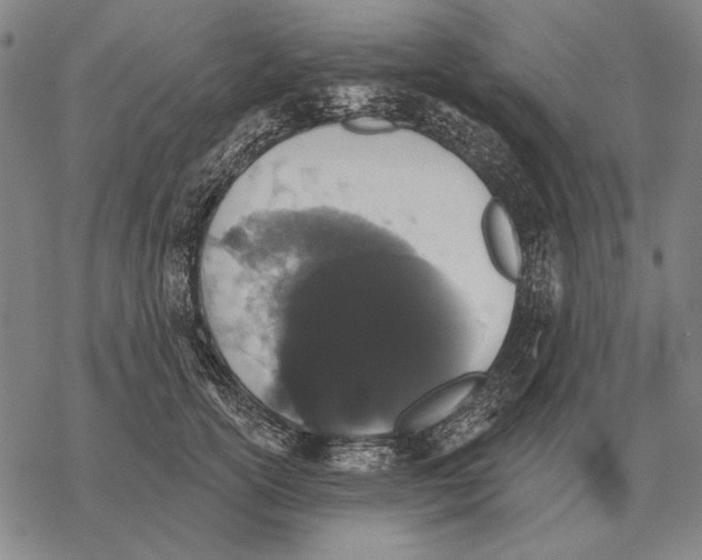 X0000068270754200605191827