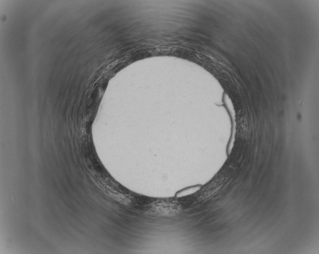 X0000068270756200605191827