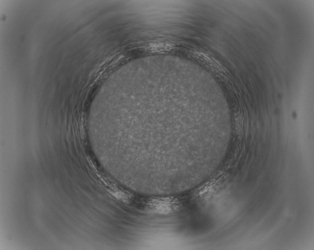 X0000068270757200605191828