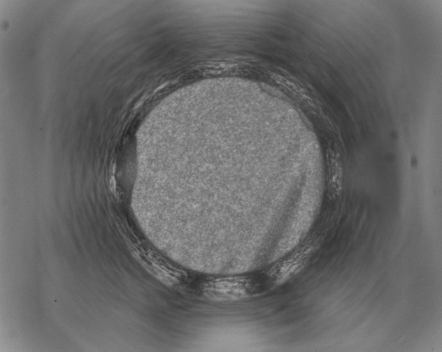 X0000068270758200605191828