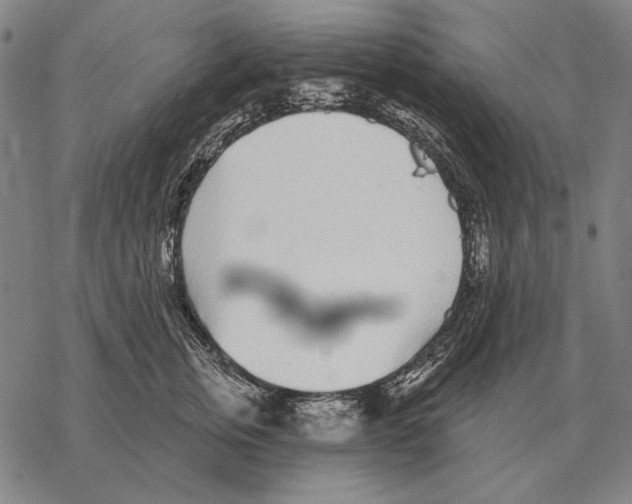 X0000068270759200605191828