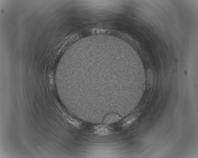 X0000068270761200605191828