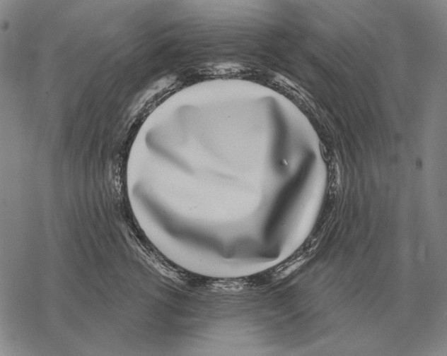 X0000068270762200605191828