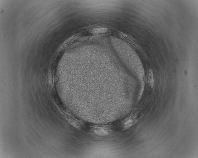 X0000068270763200605191828