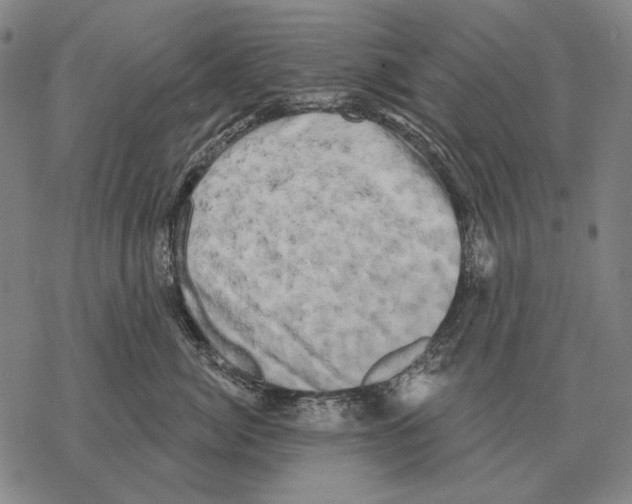 X0000068270764200605191828