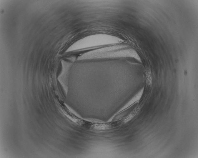 X0000068270766200605191828