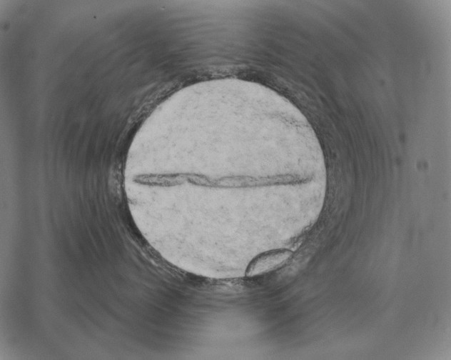 X0000068270768200605191828