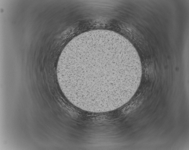 X0000068270769200605191827