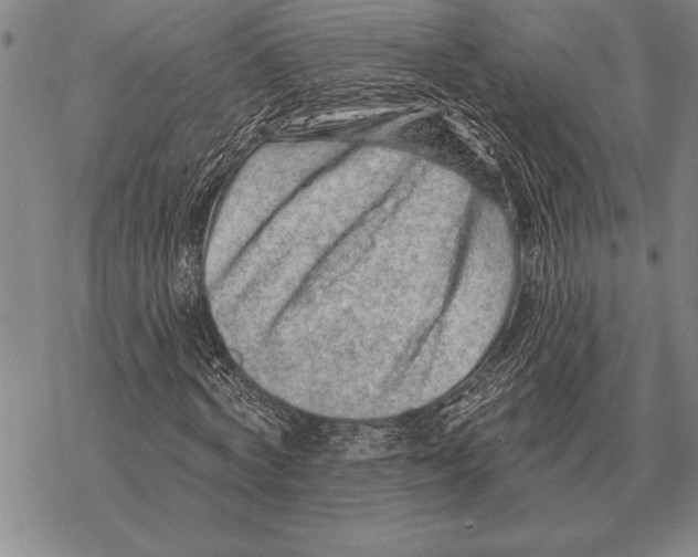 X0000068270772200605191827