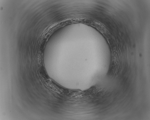 X0000068270773200605191827