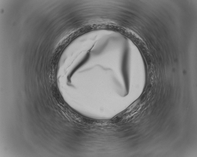 X0000068270775200605191827